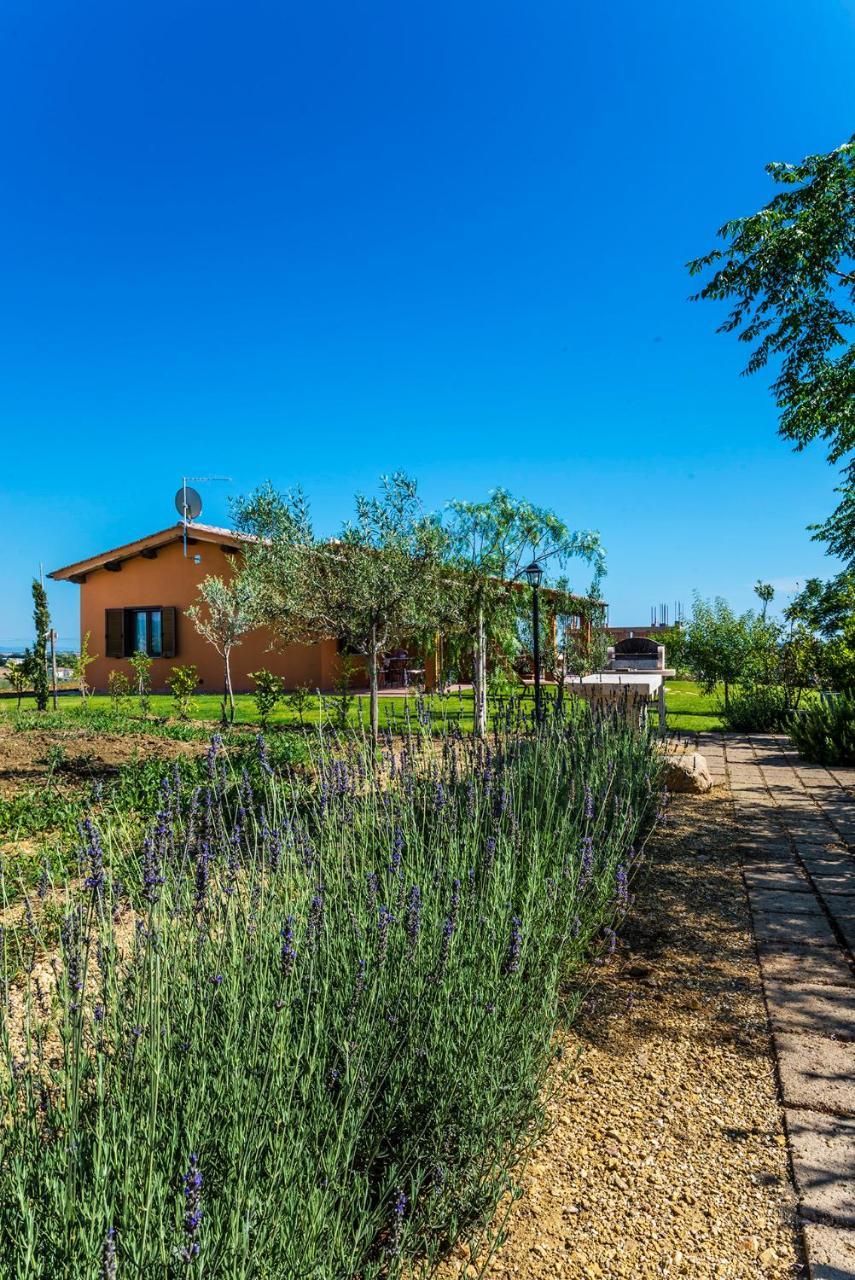 Agriturismo Poggio Di Maremma Pescia Romana Dış mekan fotoğraf