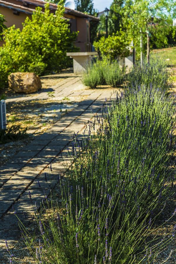 Agriturismo Poggio Di Maremma Pescia Romana Dış mekan fotoğraf